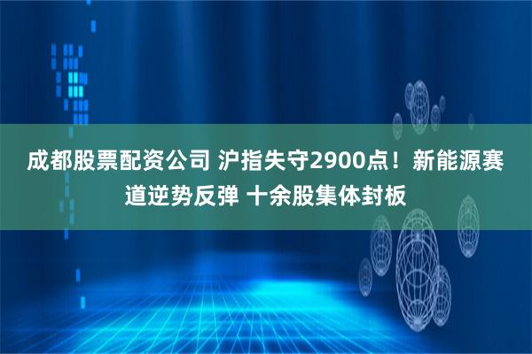 成都股票配资公司 沪指失守2900点！新能源赛道逆势反弹 十余股集体封板