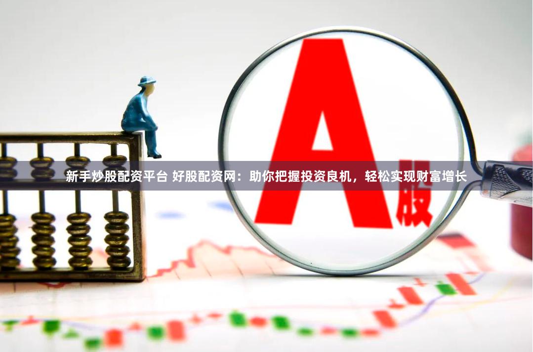 新手炒股配资平台 好股配资网：助你把握投资良机，轻松实现财富增长
