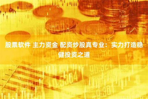 股票软件 主力资金 配资炒股真专业：实力打造稳健投资之道